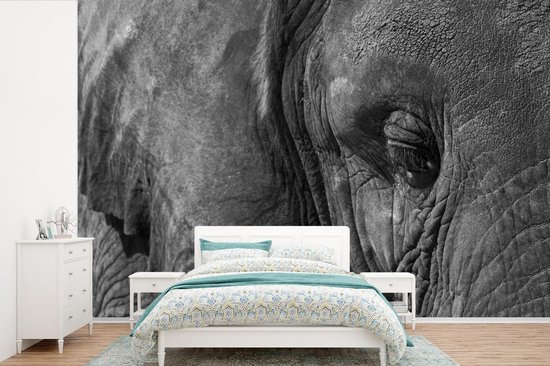Papier peint photo Éléphants - Gros plan Zwart et blanc d'éléphant largeur 390 cm x hauteur 260 cm - Impression photo sur papier peint vinyle (existe en 7 tailles) - chambre/salon/bureau