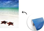 Behang - Fotobehang Zeester - Strand - Water - Breedte 175 cm x hoogte 260 cm