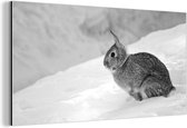 Wanddecoratie Metaal - Aluminium Schilderij Industrieel - Wild konijn in de sneeuw - zwart wit - 160x80 cm - Dibond - Foto op aluminium - Industriële muurdecoratie - Voor de woonkamer/slaapkamer
