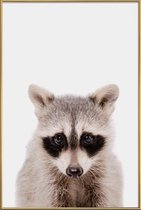 JUNIQE - Poster met kunststof lijst Raccoon -20x30 /Grijs & Zwart