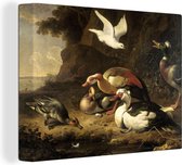 Canards - Peinture par Melchior d'Hondecoeter Toile 40x30 cm - petit - Tirage photo sur toile (Décoration murale salon / chambre)