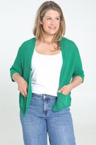 Paprika Dames Ruime cardigan - Trui - Maat 46