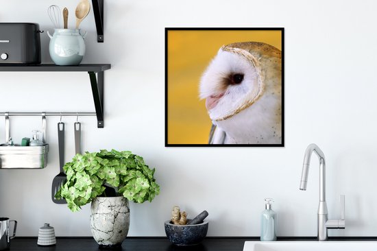 Affiche avec cadre Hibou - Jaune - Animal - 40x40 cm