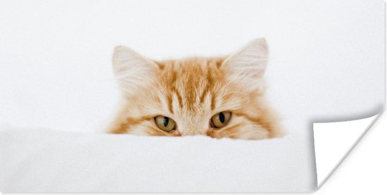 Affiche Chat - Rouge - Wit - Filles - Enfants - Garçons - Enfant - 40x20 cm