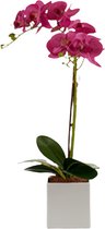 Ibergarden Kunstplant Orchidee 51 X 14 X 18 Cm Paars