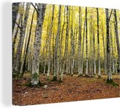 Feuilles jaunes dans la forêt en automne Toile 80x60 cm - Tirage photo sur toile (Décoration murale salon / chambre) / Décoration murale Peintures sur toile