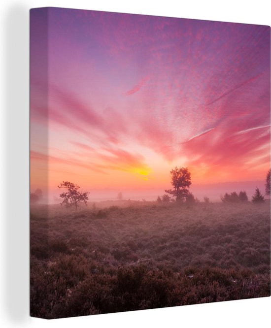 Peinture sur toile Pays- Nederland - Veluwe - Ciel - 50x50 cm - Décoration murale