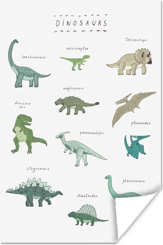 Poster Kinderkamer - Kleuren - Dinosaurus - Jongen - Meisje - Kind - 80x120 cm - Poster Kinderkamer