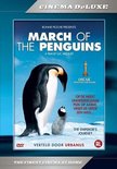 March of The penguins (DVD)