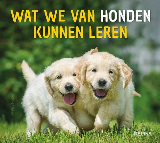 Wat we van honden kunnen leren - cover