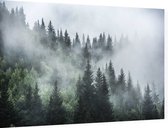 Misty Forest - Foto op Dibond - 60 x 40 cm