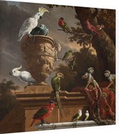 De menagerie, Melchior de Hondecoeter - Foto op Dibond - 40 x 40 cm