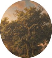 Bosgezicht, Barend Cornelis Koekkoek - Foto op Dibond - ⌀ 40 cm