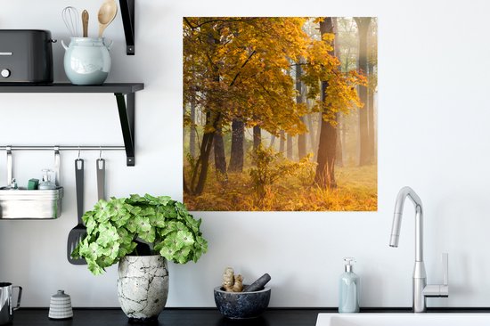 Poster Arbres d'automne dans la forêt brumeuse - 50x50 cm