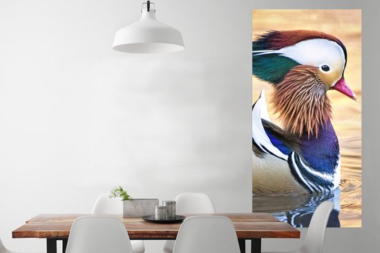 Affiche Canard - Water - Animal - 80x160 cm