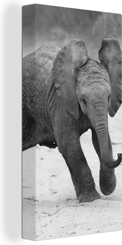 Canvas Schilderij Olifant - Baby - Dieren - Pad - Zwart wit - 20x40 cm - Wanddecoratie
