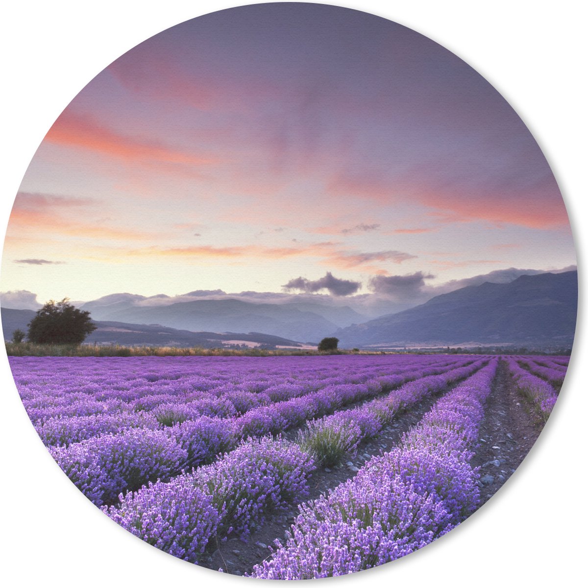 Muismat rond 30x30 cm - Mousepad Zonsondergang boven lavendels - Ronde muismatten