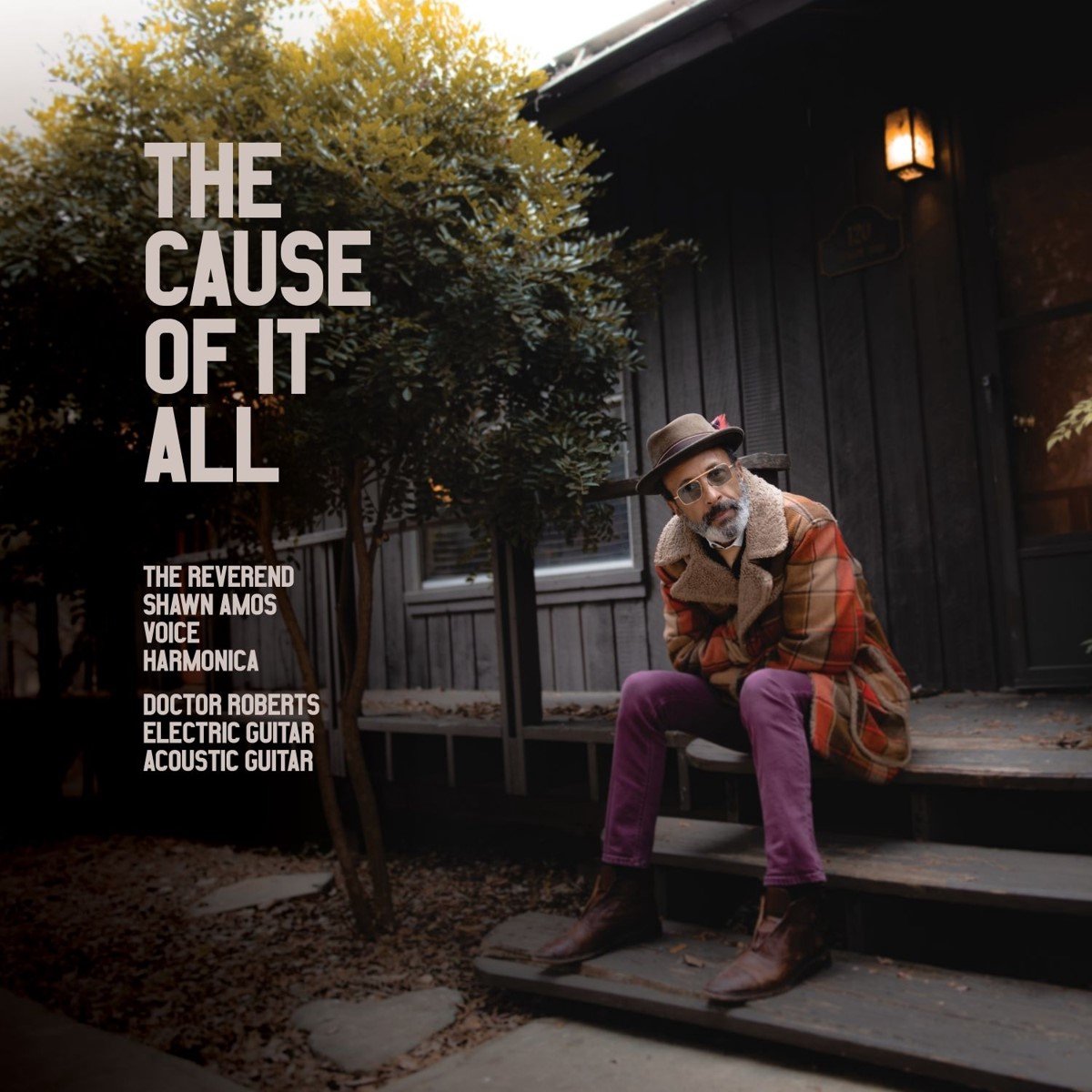 Shawn Amos - The Cause Of It All (CD)