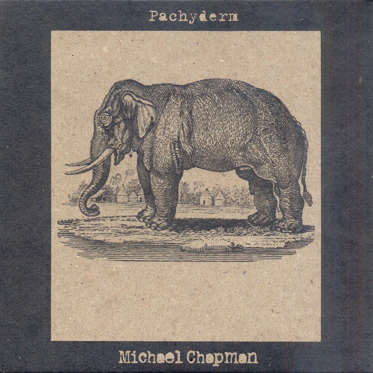 Michael Chapman - Pachyderm (LP) (Limited Edition)