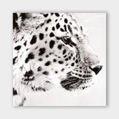 Artistic Lab Poster - Light Leopard - 25 X 25 Cm - Multicolor