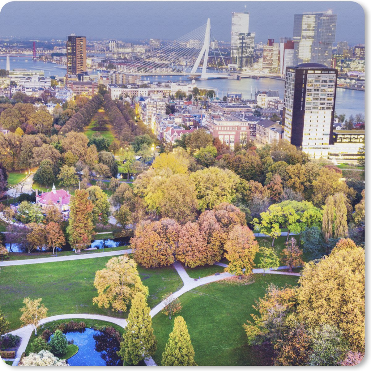 Muismat 30x30 cm - Mousepad Rotterdam - Nederland - Boom - Muismatten