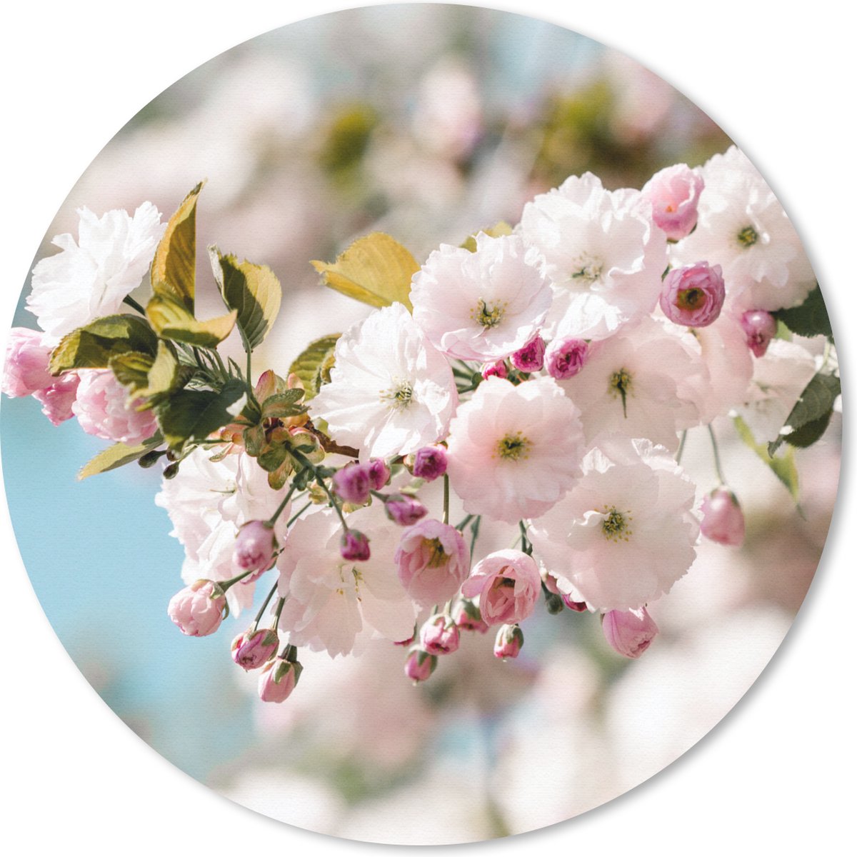 Muismat rond 30x30 cm - Mousepad Bloemen - Bloesem - Lente - Ronde muismatten