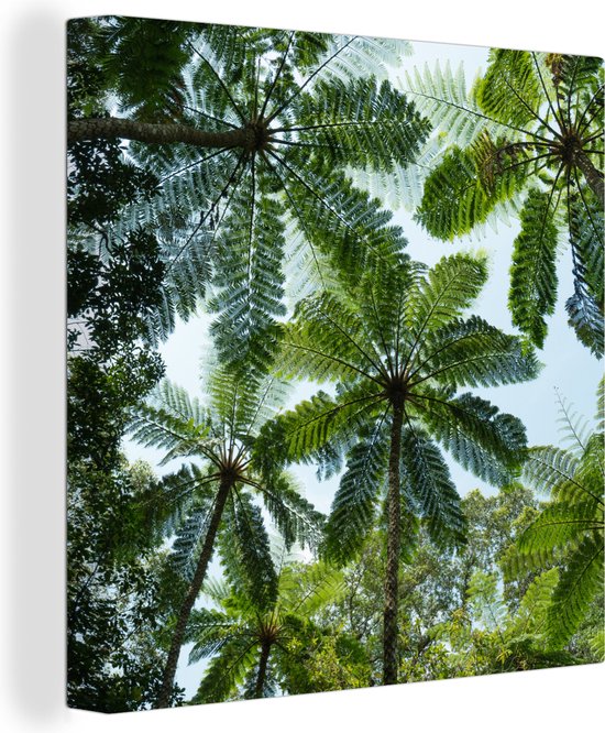 Canvas Schilderij Bomen en bladeren in jungle - 50x50 cm - Wanddecoratie