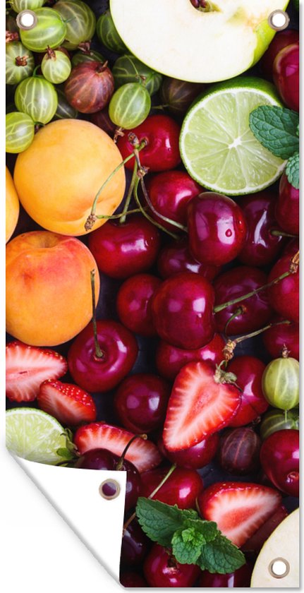Poster de jardin Fruits - Couleurs - Été - 30x60 cm - Toile de jardin - Poster extérieur