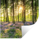 Stickers Stickers muraux - Printemps - Forêt - Soleil - 100x100 cm - Film Adhésif XXL