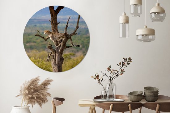 WallCircle - Wall Circle - Wall Circle Indoor - Léopard - Arbre - Animal - 140x140 cm - Décoration murale - Peintures Ronds