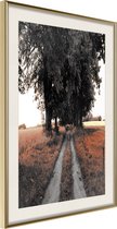 Poster Field Path 20x30