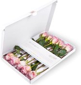 Bloomgift | Paarse Rozen | Brievenbus rozen | 100% vers