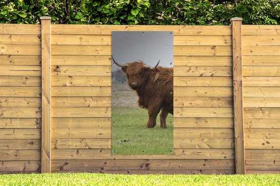 Affiche de clôture Scottish Highlander - Vache - Herbe - 100x200 cm - Toile de jardin