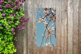 Tuinposter Bloesem - 40x80 cm - Wanddecoratie Buiten - Tuinposter - Tuindoek - Schuttingposter - Tuinschilderij