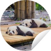 Tuincirkel Panda's - Vloer - Hout - 150x150 cm - Ronde Tuinposter - Buiten