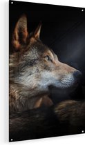 Artaza Glasschilderij - Wolvenkop Met Een Zonnestraal - Wolf - 60x90 - Plexiglas Schilderij - Foto op Glas