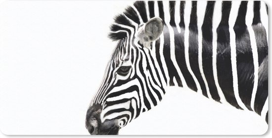 Bureauonderlegger - Zebra - Dieren - Wit - 60x30 - Muismat