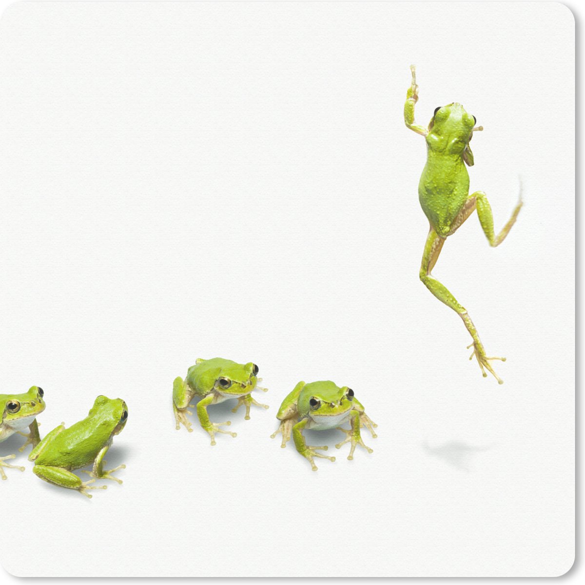 Muismat 30x30 cm - Mousepad Kikker - Dieren - Groen - Muismatten