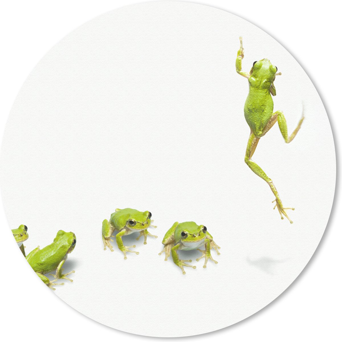 Muismat rond 50x50 cm - Mousepad Kikker - Dieren - Groen - Ronde muismatten