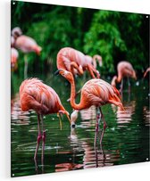 Artaza Glasschilderij - Kudde Flamingo's in de Jungle in het Water - 80x80 - Groot - Plexiglas Schilderij - Foto op Glas
