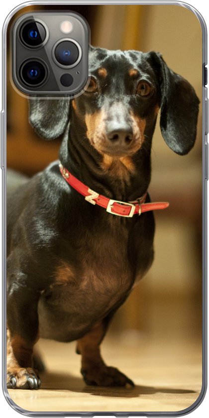 Coque Teckel Iphone <br> Rouge