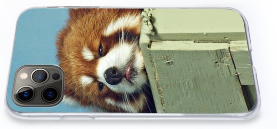 Coque iPhone 13 Pro - Panda - Bois - Rouge - Siliconen - Sinterklaas - Noël - Cadeaux - Cadeaux de chaussures