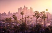 Palmbomen voor de prachtige skyline van Los Angeles - Foto op Forex - 45 x 30 cm