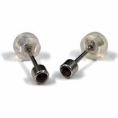 Aramat jewels ® - Zweerknopjes geboortesteen oorbellen februari paars chirurgisch staal 3mm
