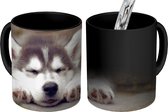 Magische Mok - Foto op Warmte Mok - Husky puppy slaapt - 350 ML