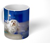 Mok - Koffiemok - Een witte Maltezer hond op een witte bank - Mokken - 350 ML - Beker - Koffiemokken - Theemok
