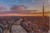 Kleurrijke scene van de skyline van Tokio bij zonsopkomst - Foto op Tuinposter - 225 x 150 cm