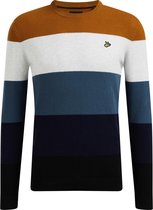 WE Fashion Heren trui met colourblock