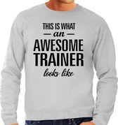 This is what an awesome trainer looks like cadeau sweater grijs - heren - beroepen / cadeau trui XXL