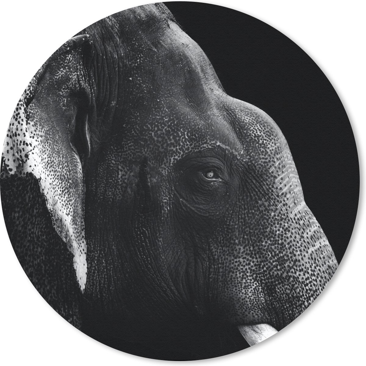 Muismat rond 40x40 cm - Mousepad Dierenprofiel olifant in zwart-wit - Ronde muismatten